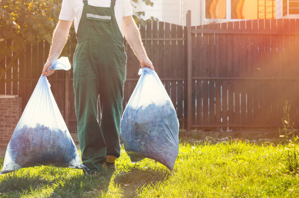 Shed Removal in Thornport, OH